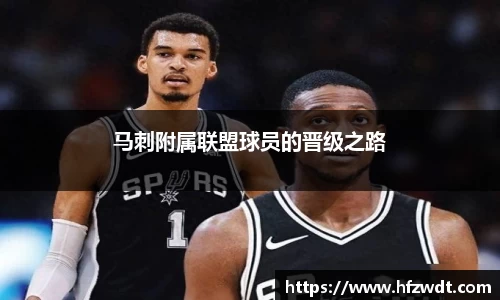 星空综合官网