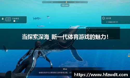 星空综合官网